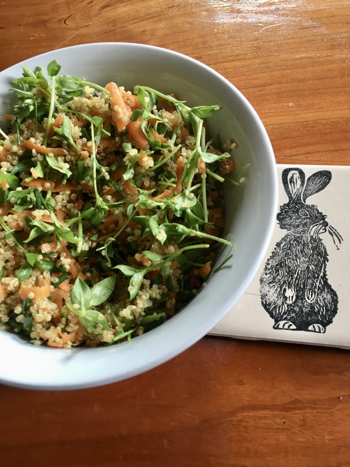 Foraged Chickweed and Quinoa Salad