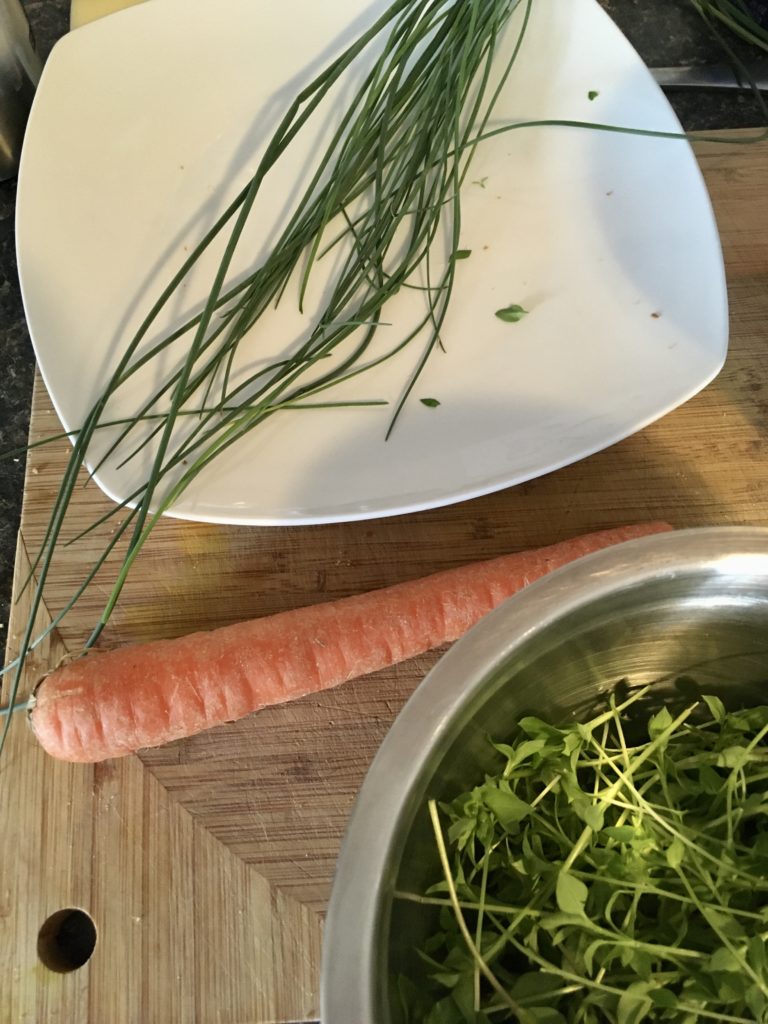 wild onion, chickweed and carrot 